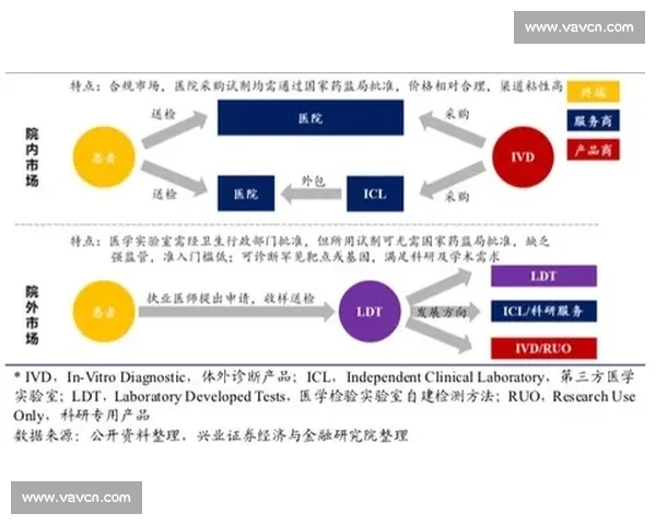 围绕16vs吧的讨论热潮与玩家文化现象深度观察分析与思考全景呈现